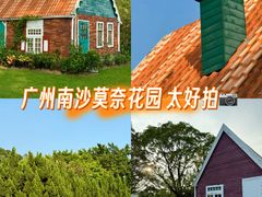 -南沙蒲洲花园