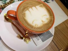 -猫色咖啡·猫咖