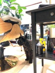 -Hello Lady发型设计