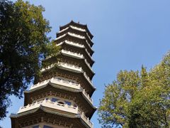 -灵谷景区