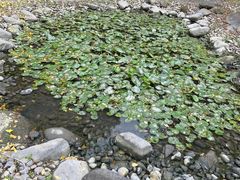 -苏州河梦清园环保主题公园