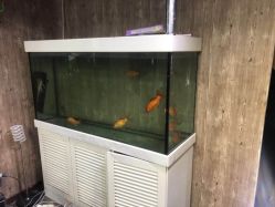 -东方美妍