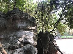 -杭州西湖风景名胜区-三生石