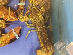 -渔家大院·地道威海菜(石岛店)