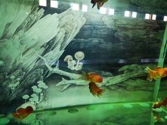 -北戴河圣蓝海洋公园