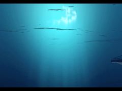 -横店电影城(李沧店)