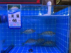 -台山美食一绝阿四台山黄鳝饭(阿四创作店)
