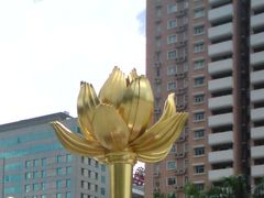 -金莲花广场