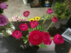 -雕刻时光咖啡馆(北苑店)