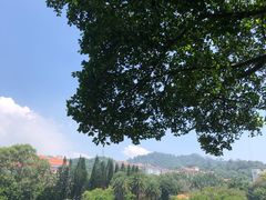 -厦门大学(思明校区)