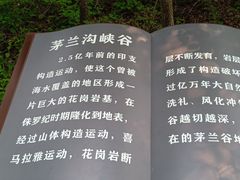 -茅兰沟国家森林公园