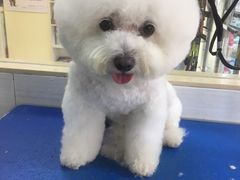 -芭比堂动物医院广州顽皮分院