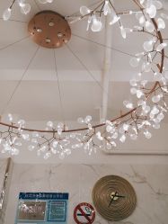 -潘多拉Hairsalon