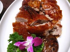 -刘胖子家常菜·蹄花焖藕(中央花园店)