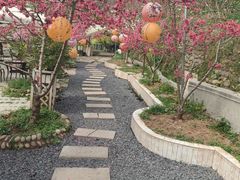 -桃源山庄·水蜜桃采摘·柴火鸡·烧烤团建(龙泉山店)