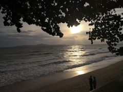 -卷心菜和避孕套餐厅(Pattaya)