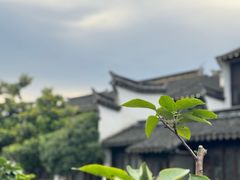 -黎里古镇