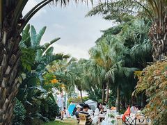 -深圳湾公园(南山区)