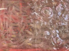 -沙头涌渔栏海鲜餐厅