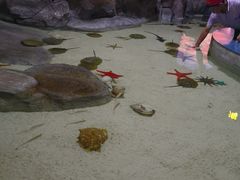 -福州罗源湾海洋世界旅游区