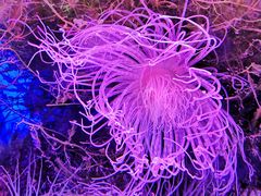 -多彩贵州城极地海洋世界