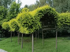 -长春公园(普阳街道)