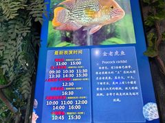-合肥海洋世界