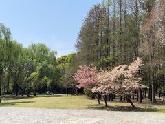 -同里国家湿地公园