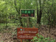 -同里国家湿地公园