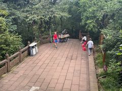 -凤栖山