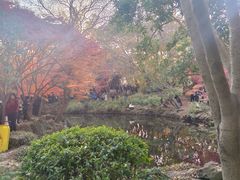 -秋霞圃