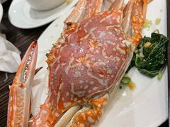 -新海利海鲜城·41年珠海老字号(夏湾店)
