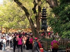 -普陀山风景名胜区-法雨禅寺