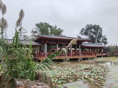 -洛阳古墓博物馆