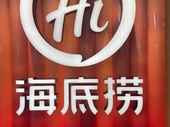 -海底捞火锅(吾悦国际广场店)