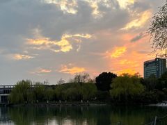 -大宁郁金香公园-停车场