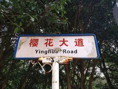 -武汉大学-樱园