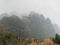 -王莽岭风景区