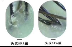 -BULB STUDIO 巴柏明星发型工作室