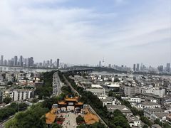 -小凤庭·地道湖北菜武昌鱼·藕汤(38年黄鹤楼店)