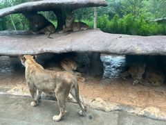 -北京野生动物园