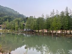 -世间香境·七溪地