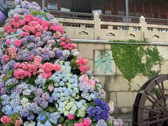 -苏州上方山国家森林公园