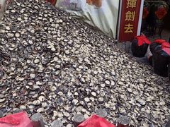 -白鹿原樱桃园