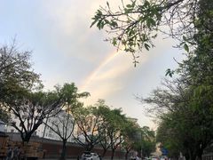 -成都七中(林荫校区)