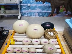 -灵玲国际马戏城