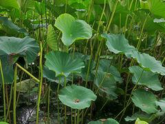 -长春市南湖公园