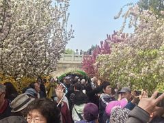 -元大都城垣遗址公园