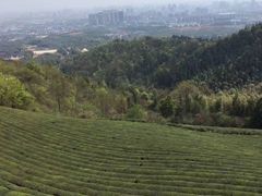 -敬亭山风景名胜区