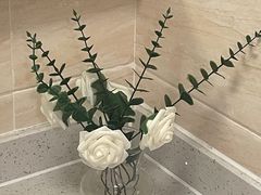 -浅森·龙凤筋SPA·私域调理